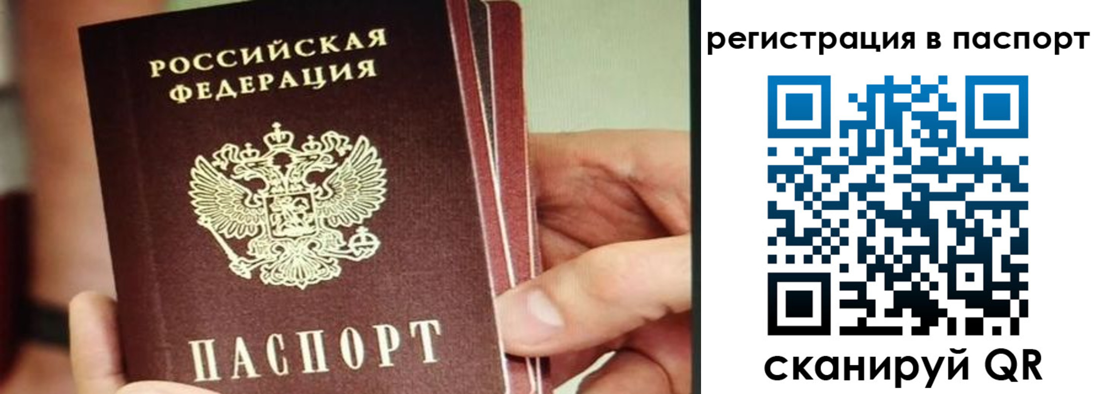 временная регистрация надежно в Новозыбкове
